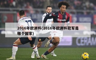 2016年欧洲杯(2016年欧洲杯冠军是哪个国家)