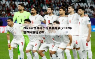 2022年世界杯小组赛赛程表(2022年世界杯赛程公布)