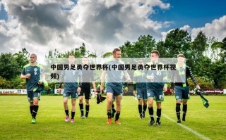 中国男足勇夺世界杯(中国男足勇夺世界杯视频)