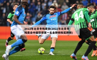 2022年北京冬残奥会(2022年北京冬残奥会中国获得第一名金牌榜和奖牌榜)