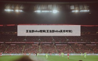 王治郅nba视频(王治郅nba高光时刻)