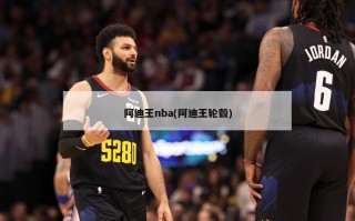 阿迪王nba(阿迪王轮毂)