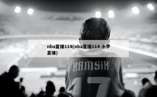 nba直播114(nba直播114 小罗直播)